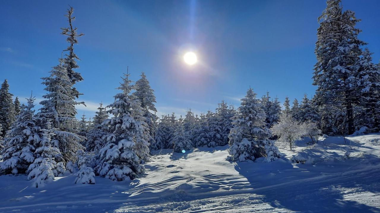 Belle Air Lodge Moenichkirchen Luaran gambar